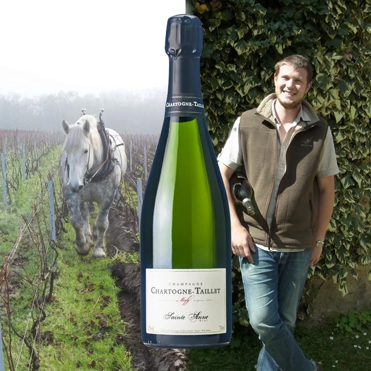 ボーデッカー・セラーズ　ピノ・ノワール　アシーナ＆ステュワート 夫婦セット