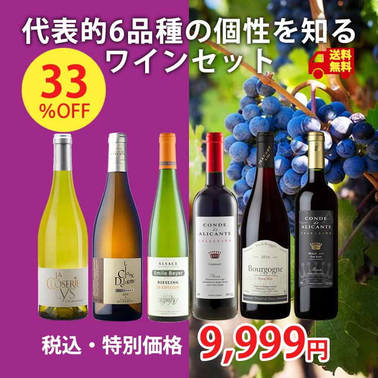 【1本あたり1,666円、飲み比べに最適！】代表的6品種の個性・スタイルを知る6本セット(750ml×6本）