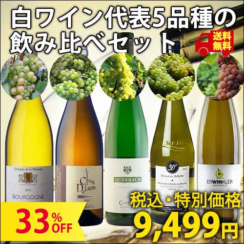 【ワインをはじめるなら、まずはここから！1本あたり1,899円】白ワインの代表的ブドウ5品種飲み比べセット（750ml×5本）