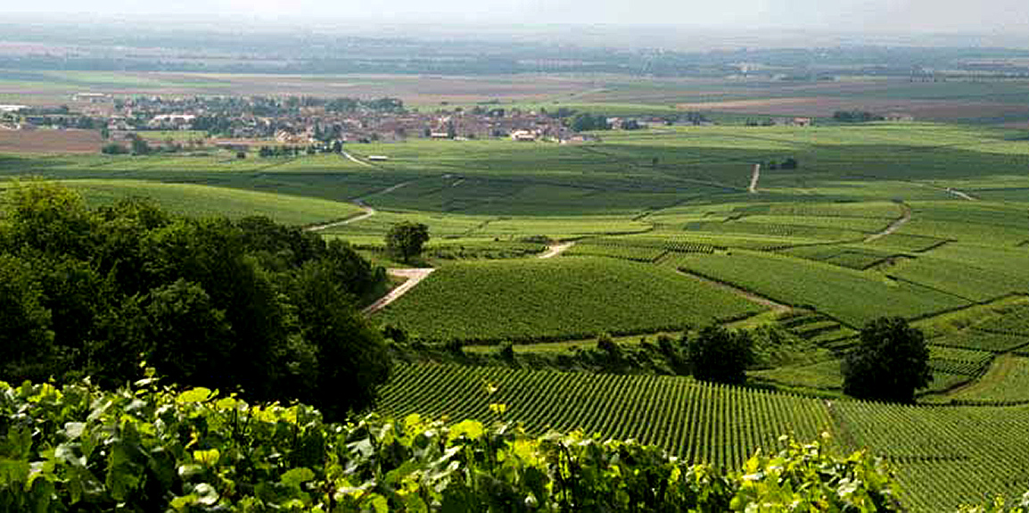 ジャン・ラルマン・エ・フィス