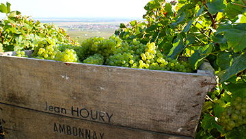 シャンパーニュの産地を規定する政令が発令