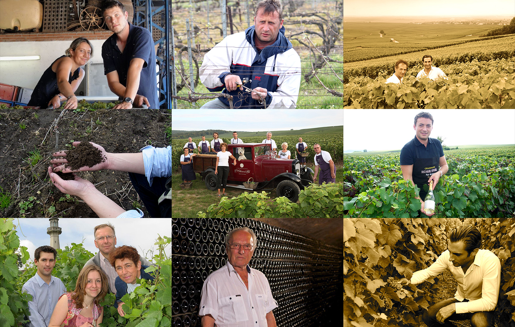 シャンパーニュの生産者