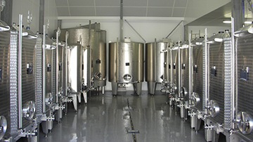 アルコール発酵（一次発酵）