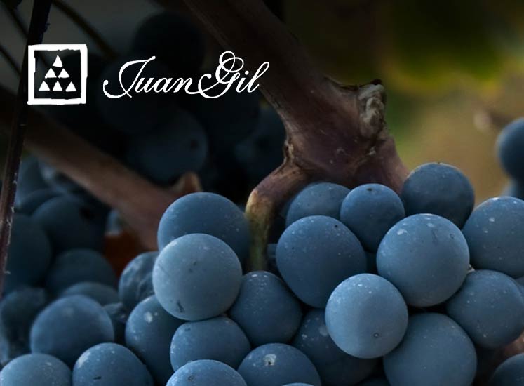 フアン・ヒル・イメージ画像