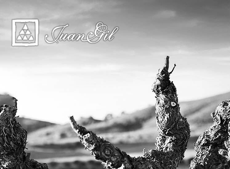 フアン・ヒル・イメージ画像