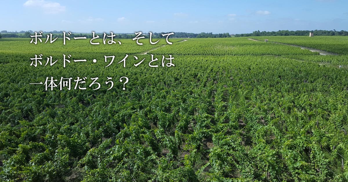 「ボルドーって何だろう」タイトル画像。ビオディナミの生命力あふれる畑