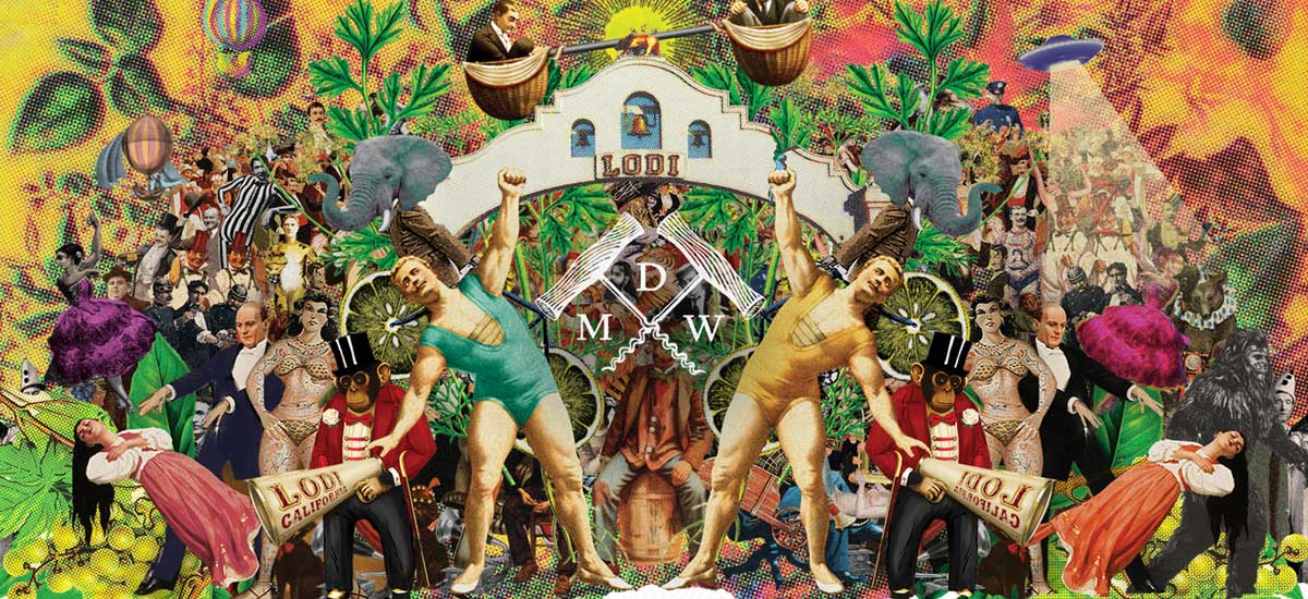 マイケル・デイヴィッド・ワイナリー・イメージ画像