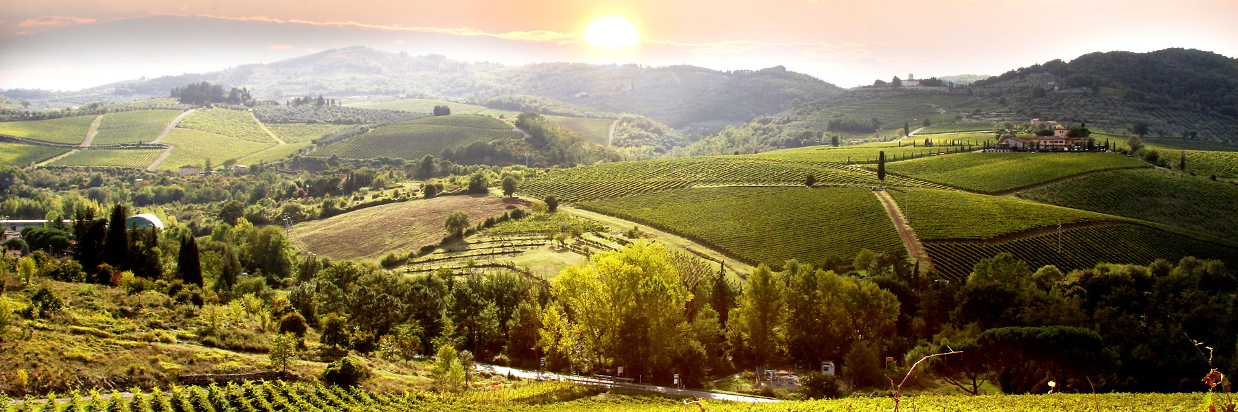 the DISCOVERY 注目のグラン・クリュ