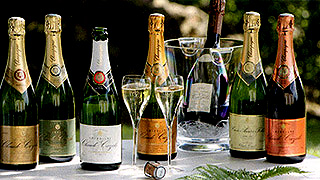 シャンパーニュの種類