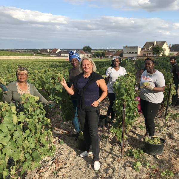 R.M生産者の収穫風景